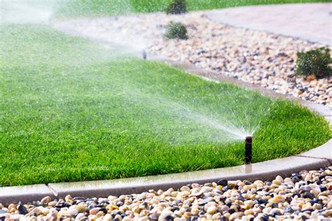 Intelligente und effektive Rasenbewässerung Tipps